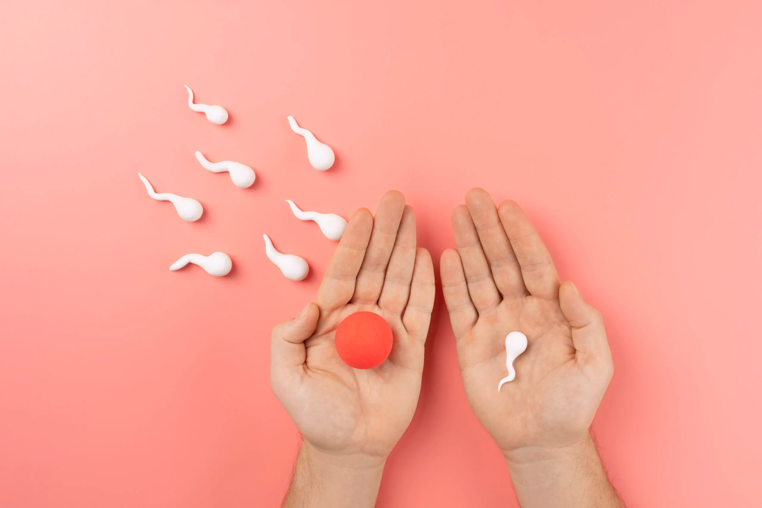 Arranjo delicado de flores e elementos que simbolizam fertilidade